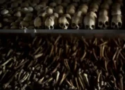 7 Fakta Genosida Rwanda yang digunakan Sudah Berlalu 30 Tahun