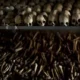 7 Fakta Genosida Rwanda yang tersebut digunakan Sudah Berlalu 30 Tahun
