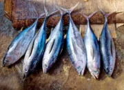 8 Jenis Ikan Tinggi Protein kemudian Rendah Lemak untuk Diet