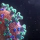 Studi: Infeksi penyebaran virus Corona Terlama Berlangsung 613 Hari, Menciptakan Lebih dari 50 Mutasi