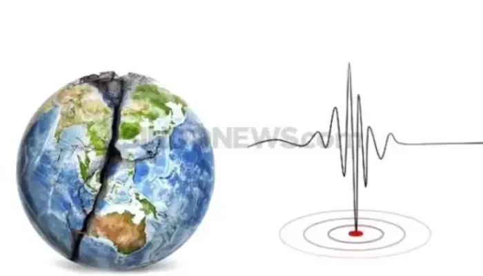 Gempa Magnitudo 4,9 Guncang Pegunungan Bintang Papua