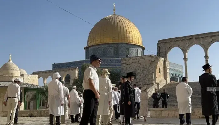 Pemukim Yahudi Selundupkan Kambing ke Kompleks Masjid Al Aqsa untuk Kurban Paskah