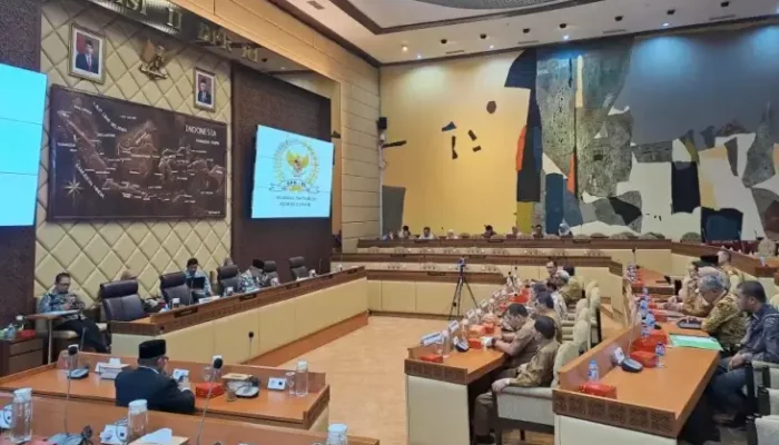 Rapat dengan Komisi II DPR, Pj Kepala Kabupaten Pidie Ungkap Kepentingan Karakter Bangsa