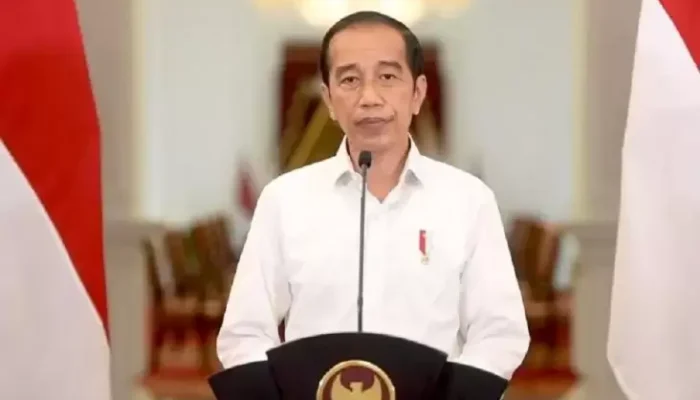 Singgung Kasus Firli kemudian Lili Pintauli, ICW Minta Jokowi Tak Salah Pilih Pansel Capim KPK