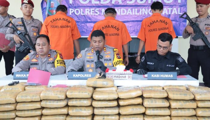 Polres Mandailing Natal tangkap tiga kurir 110 kilogram ganja