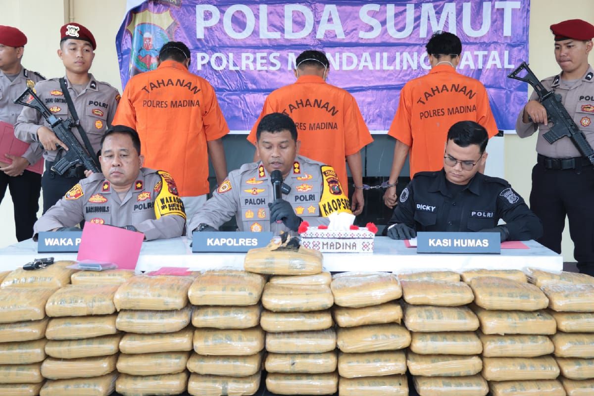 Polres Mandailing Natal tangkap tiga kurir 110 kilogram ganja