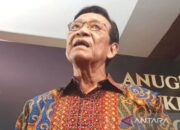 Sultan HB X tegaskan penjudi online tidak ada punya kesempatan menang